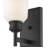 Alayanna Steel Armed Sconce-31497354