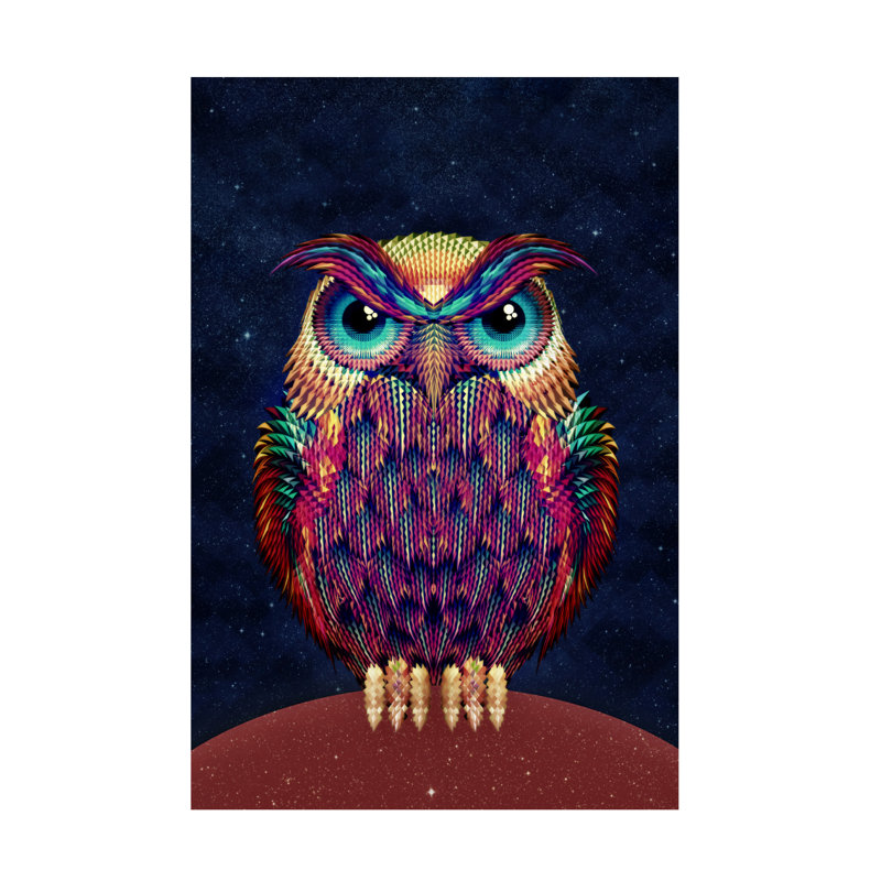 Art sur toile, Ali Gulec Owl 2, H 12 po x l 19 po