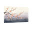 Plantes et fleurs, cerisier en fleurs, brume, montagnes-1784476234