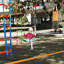 VEVOR 50 pieds Ninja Warrior Obstacle Course extérieur Slackline 10 obstacles pour enfants