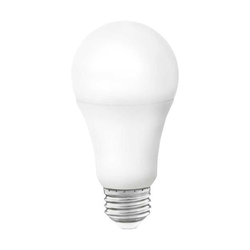 10 W A19 E26/Medium (Standard) LED Smart Bulb