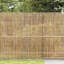 Bamboo Fence