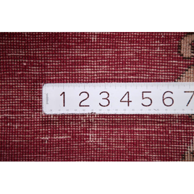 Tapis fuchsia Border