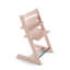 Tripp Trapp Chair-676037740