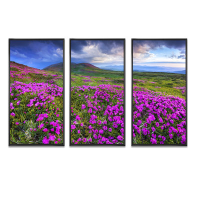 Rhododendron Flowers In Mountains - 3 pièces, cadre photo flottant sur toile