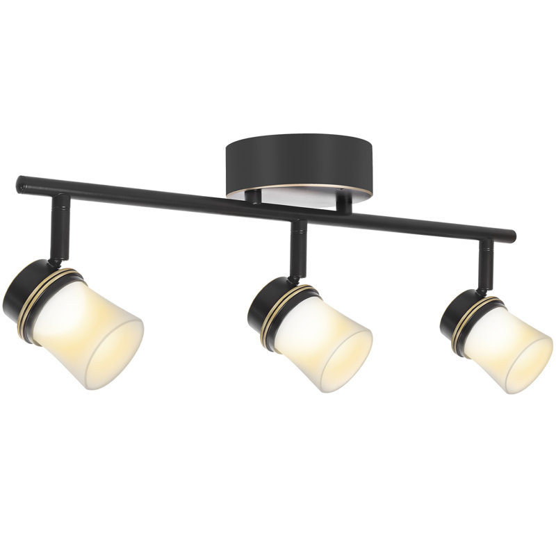 3 Light Dimmable LED Track Lighting Kit, Matte Bronze Flush Mount Ceiling Light Fixture with Etched Glass Shades, Adjustable Wall Lamp with Integrated LED Bulbs