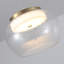 1 - Light Gold LED Single Pendant