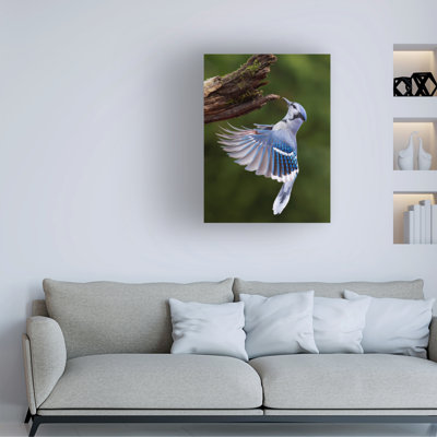 Art sur toile «Jay»