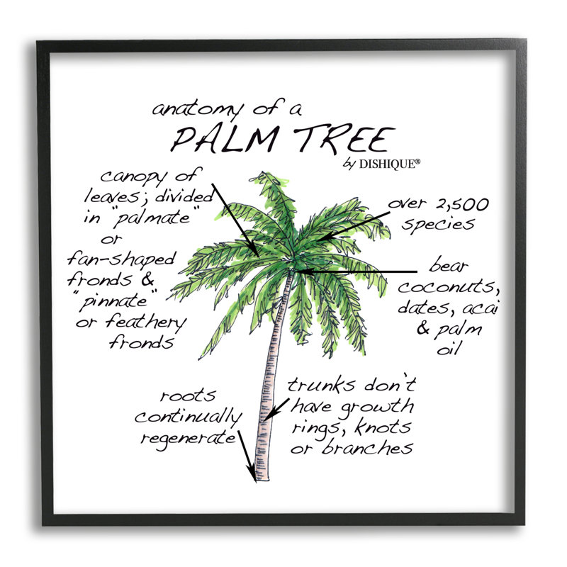 «Tropical Palm Tree», plante texturée, giclée, art texturé par vaisselle, Giclée encadrée noir minuit