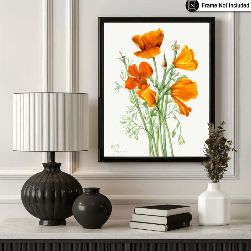 Pavot de Californie, Unframed, Poster, 12"H x 16"W