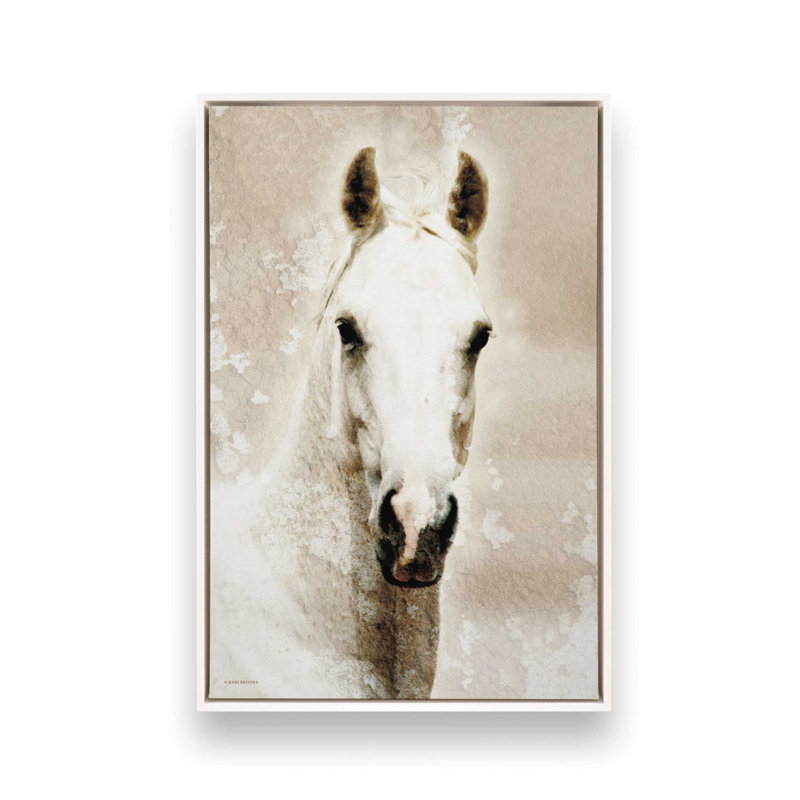 «Amber» par Kari Brooks, reproduction d'art, L 24 po x H 36 po, Blanc, Toile avec cadre
