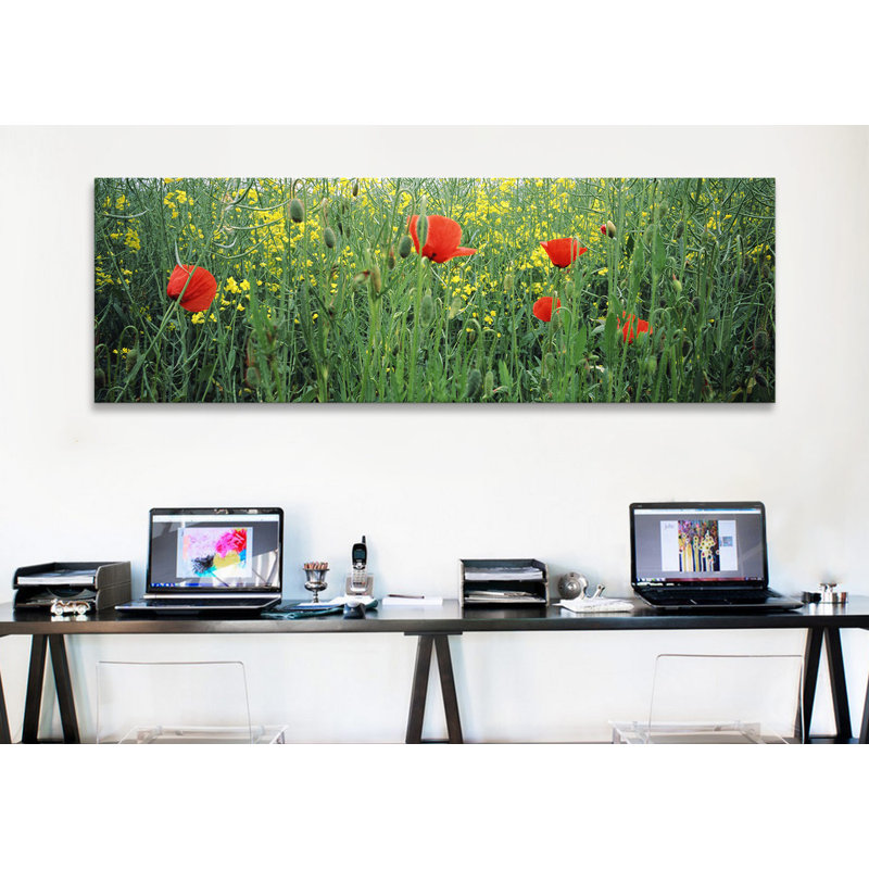 Reproduction de photo sur toile, H 16 po x l 48 po x P 1,5 po, Toile tendue