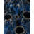 Sulawasi Blue Shells