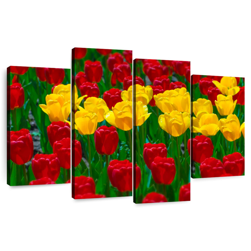 Harnek Wisconsin Spring Tulips, 32" H x 52" W