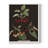 Brookshaw Cherries Framed Print - Solid Wood-1190817962-1190817963