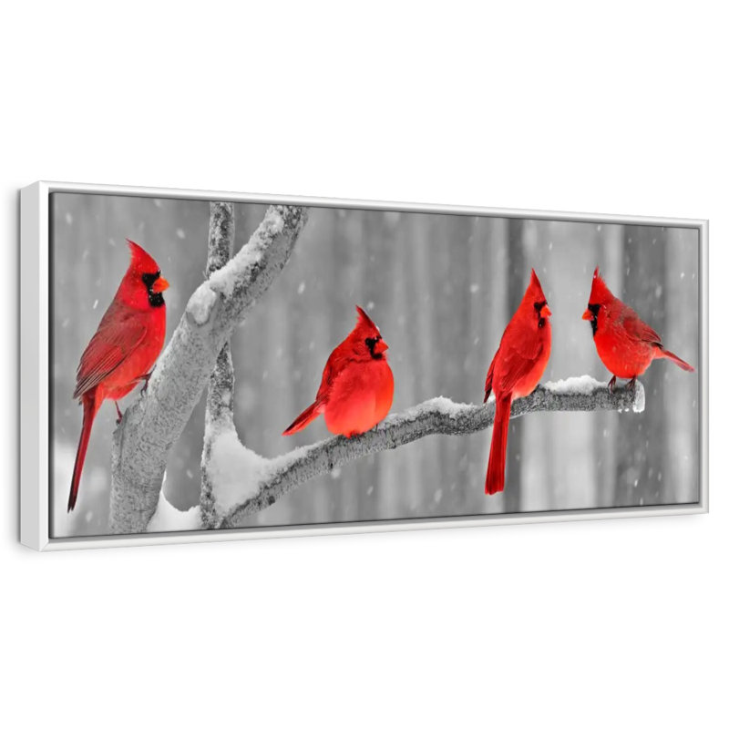 Cardinal, Cadre flottant blanc, 57 po x 19 po