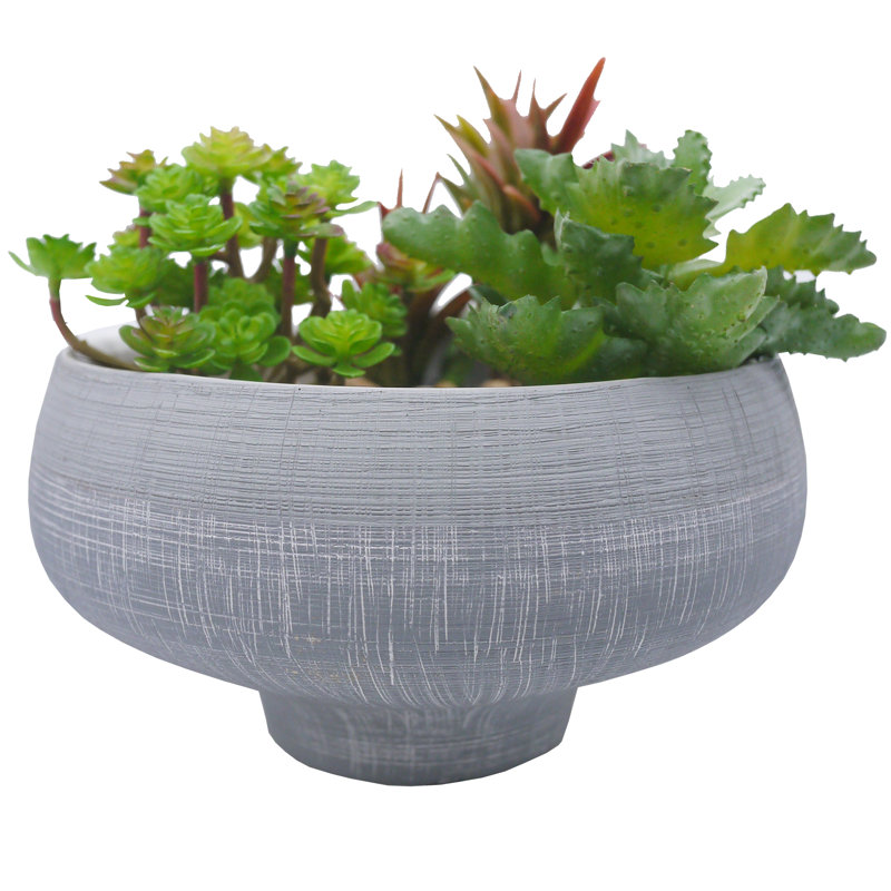 Pot de fleurs en céramique Tbridge, H 5,25 po x l 5 po x p 5 po