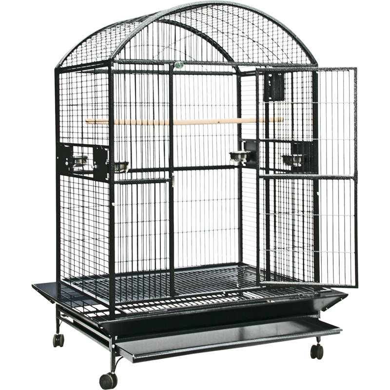 Cage XXX, Noir