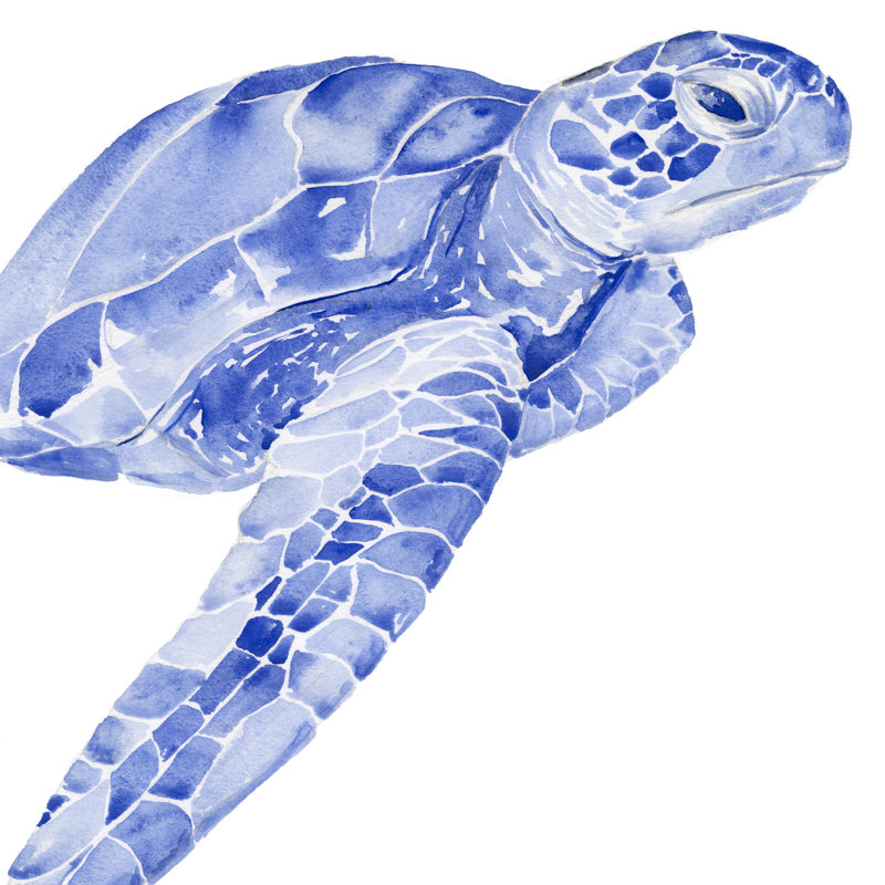 Ultramarine Sea Turtle II by Jennifer Paxton Parker - Wrapped Canvas Painting, 30cm H x 30cm W x 3.8cm D