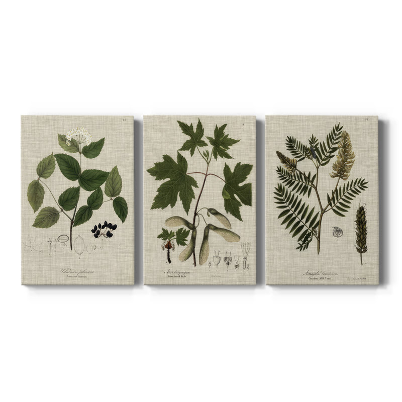 Lin et feuilles I - Toile tendue sur mesure avec châssis - 3 pièces, H 60 po x l 120 po