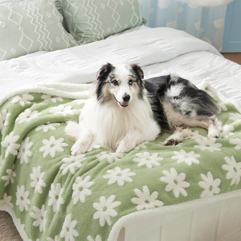 Cornwall Pet Blanket