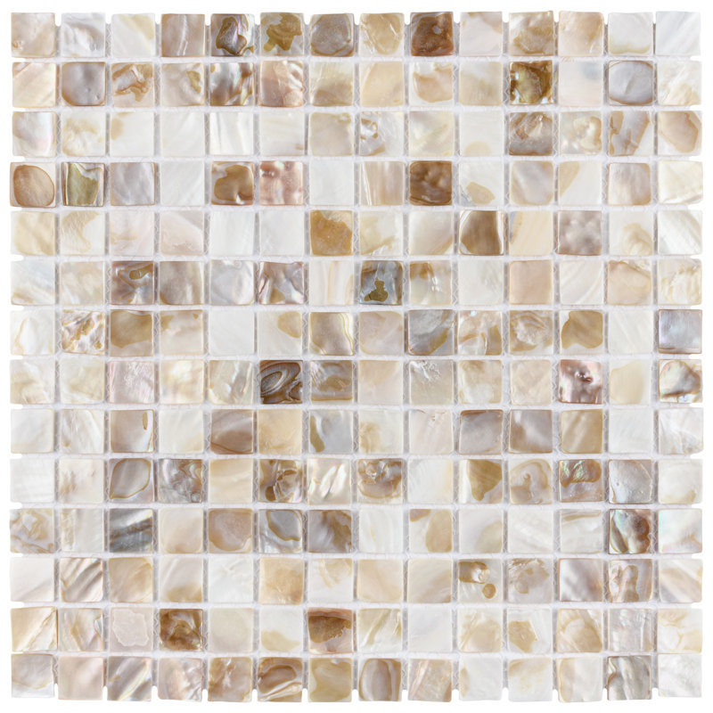 Conchella Square Natural 12" x 12" Natural Shell Mosaic Tile