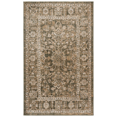 Hazel 510 Performance Oriental Rug