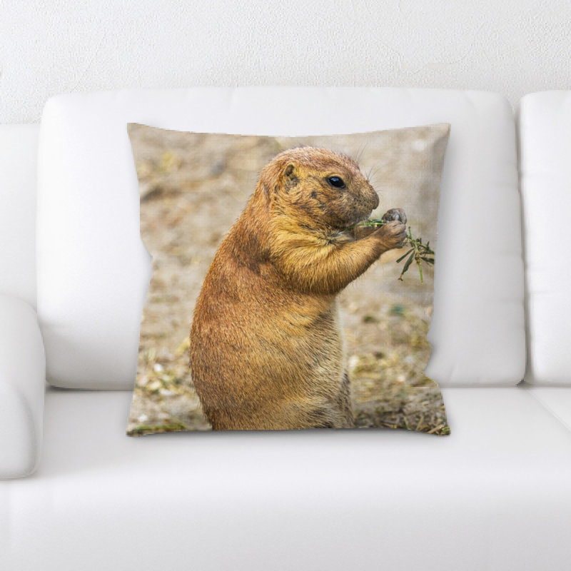 Coussin prairie dog