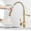 Belfry Kitchen Wall Pull Down Kitchen Faucet-403067248