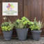 Pot à fleurs en plastique recyclé pour l'intérieur et l'extérieur - petit-111113773-111113779