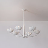 ARCATA Chandelier