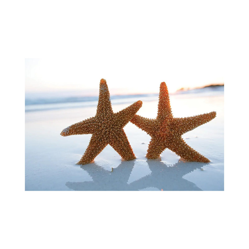 Sea Star Starfish Silhouette On Sunrise Beach, Shallow Dof by Depositphotos - Wrapped Canvas Gallery-Wrapped Canvas Giclée
