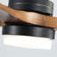 Ceiling Fan with LED Lights