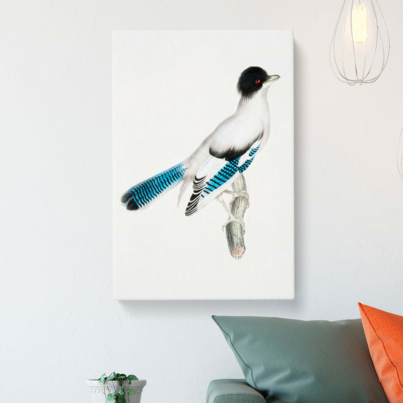 Almorah Jay - Wrapped Canvas Painting, 76cm H x 50cm W x 3cm D