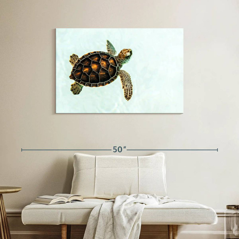Brampt Baby Turtle