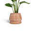 Mateo Planter