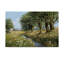 Art mural sur toile tendue - «Beeches and Daisies» de Bill Makinson pour décoration de salon, de chambre à coucher ou de bureau - 30 x 47-31879296
