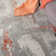 Eveland Indoor Rug