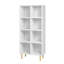 Amettes Bookcase