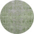 Fern