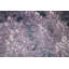 Tapis indien contemporain en laine 6x9