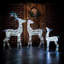 Iridescent Reindeer Family With 200 White LEDs