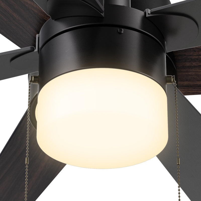 Terianna 52'' Ceiling Fan with Light Kit, Black