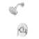 Weller Dual Function Shower Faucet