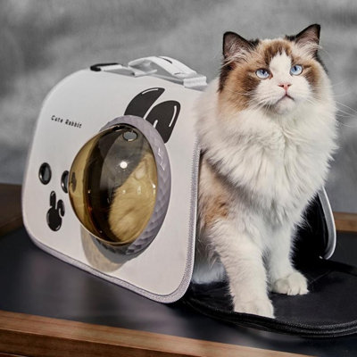 Pet Bag Foldable Cat Carrier Backpack