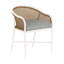 Havana Arm Chair-83259845-130056212-130056227