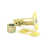 Bright Brass