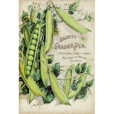 " Antique Seed Packets V "