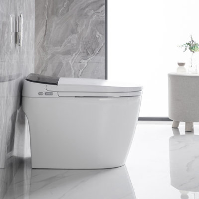 Toilette allongée intelligente avec siège de bidet allongé chauffant, toilette intelligente avec bidet intégré, capteur de pieds, siège à ouverture / fermeture automatique, chasse automatique à siège éteint, veilleuse, eau chaude et sécheuse, blanc