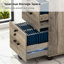 Brandice 15.7'' Wide 2 -Drawer Mobile File Cabinet